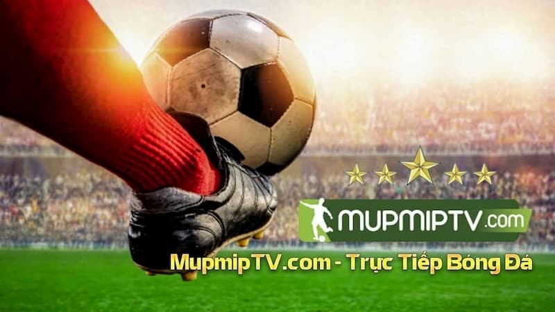 MupMip TV